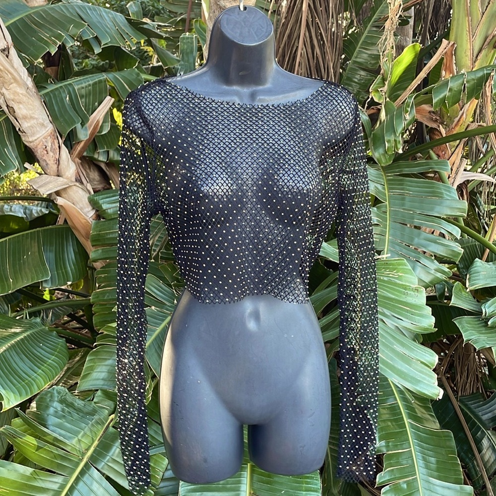 Fish net and crystal sheer top